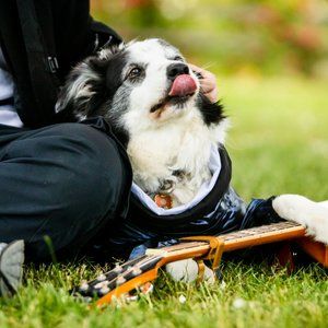 My dog's name is Ben